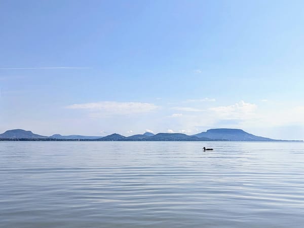 Az adat útja: integrációk a BinX-ben